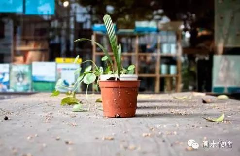 六弄咖啡馆平面图_咖啡馆平面布局图_平面咖啡厅